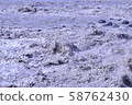 Muddy stream 58762430
