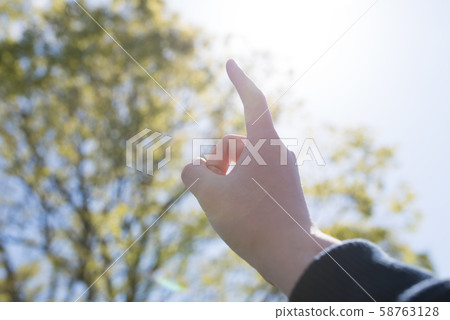 圖片照片 58763128