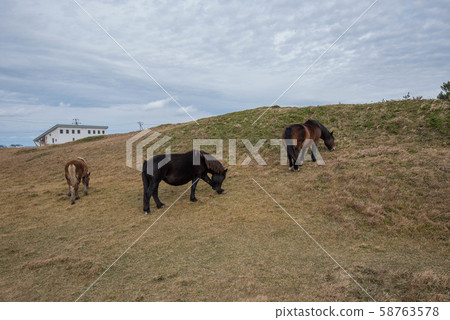 Shiriyazaki, the northernmost tip of Honshu Shiriyazaki, the northernmost tip of Honshu 58763578