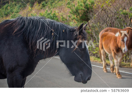 Shiriyazaki, the northernmost tip of Honshu Shiriyazaki, the northernmost tip of Honshu 58763609