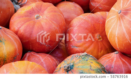 Heap of Red Pumpkins, Cucurbita maxima 58763916
