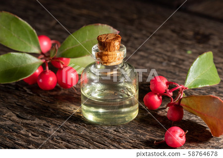 A bottle of essential oil with wintergreen berries A bottle of essential oil with wintergreen berries 58764678