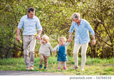 Senior grandparents with toddler grandchildren walking in nature in spring. 58766039