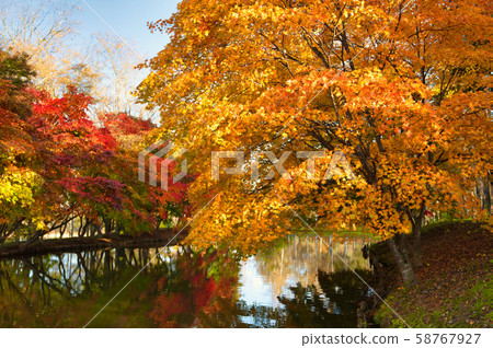 Autumn leaves in Shimizu Park Autumn leaves in Shimizu Park 58767927