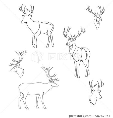 One line design silhouette of deer. Set of full height and heads. Hand drawn single continuous line 58767934