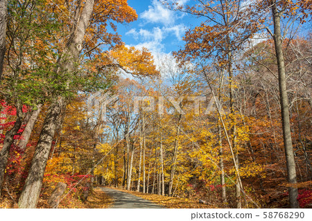 Sleepy Hollow Autum - New York State 58768290