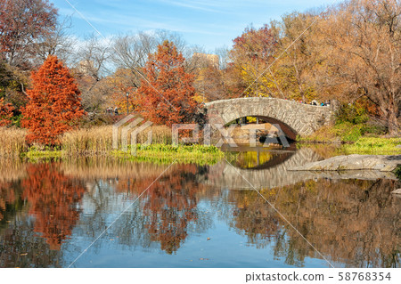 Autumn Season - Central Park, New York City 58768354