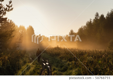 Bird Hunter at Sunrise going for hunt in a forest with his shotgun rifle. 58768755