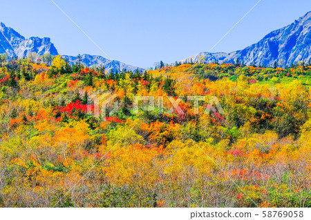 Tsugaike Nature Park (Autumn) Tsugaike Nature Park (Autumn) 58769058