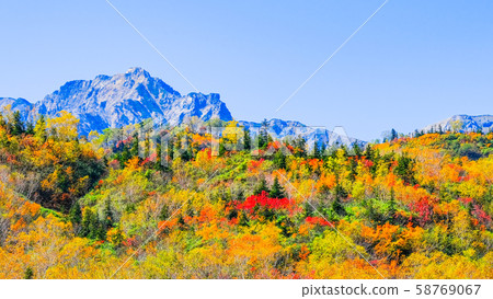 Tsugaike Nature Park (Autumn) 58769067