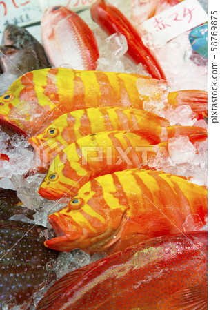 Indian Meeby (Shimahata) at the fresh fish counter in the Daiichi Makishi Public Market, Naha City 58769875