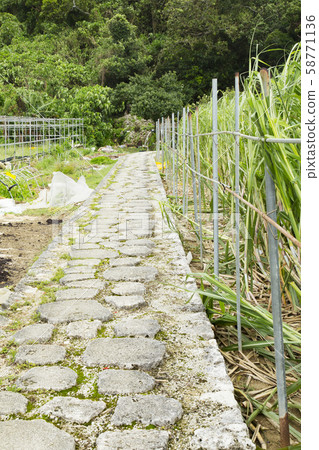 Path leading to receiving water running water 58771136