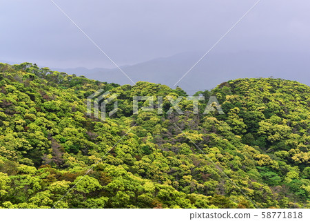 Cloudy mountain 58771818