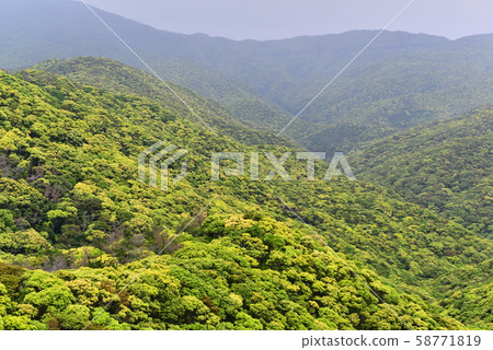 Cloudy mountain Cloudy mountain 58771819