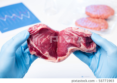 Red meat in lab scientist hands. Meat inspection control check or artificial cultured meat concept. 58771963