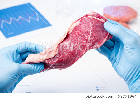 Meat steak in lab scientist hands. Meat inspection control check or artificial cultured meat concept. 58771964