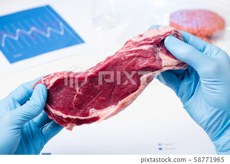 Meat in lab scientist hands. Meat inspection control check or artificial cultured meat concept. 58771965