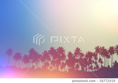 Palm trees on tropical beach, vintage toned and retro film light flare stylized Palm trees on tropical beach, vintage toned and retro film light flare stylized 58772019