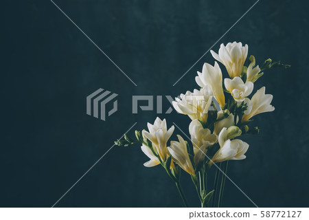 Freesia blooming twigs bouquet vintage toned on dark blue art background with copy space. 58772127
