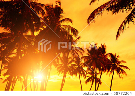 Sunset beach. Tropical coast coconut palm trees with warm sun set. Sunset beach. Tropical coast coconut palm trees with warm sun set. 58772204
