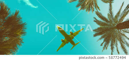 Palm trees perspective view long banner with airplane vintage toned with copy-space 58772494
