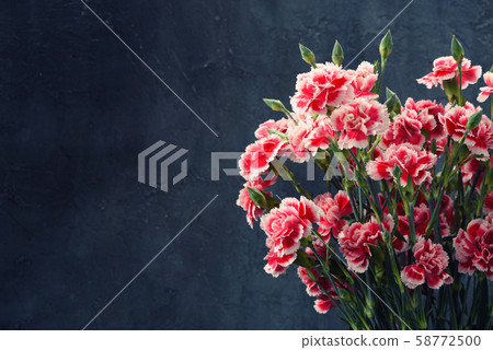 Carnation flowers bouquet vintage toned. Dark moody background with copy space. Carnation flowers bouquet vintage toned. Dark moody background with copy space. 58772500