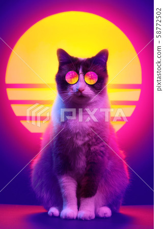 Retro wave synth vaporwave portrait of a cat in sunglasses with palm trees reflection. 80s sci-fi futuristic fashion animal poster style violet neon aesthetics. 58772502