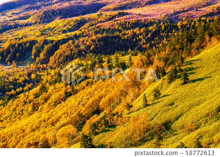 From the highest point of the Japanese National Highway From the highest point of the Japanese National Highway 58772613