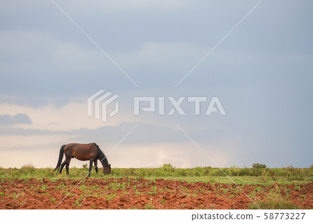 Marea rare scenery Marea rare scenery 58773227