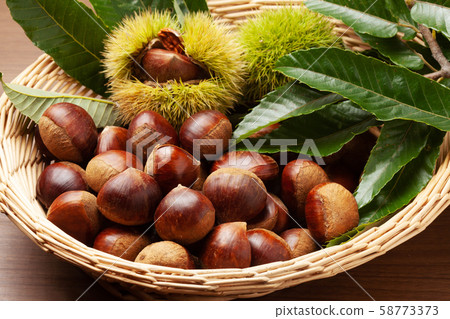 Raw chestnut 58773373