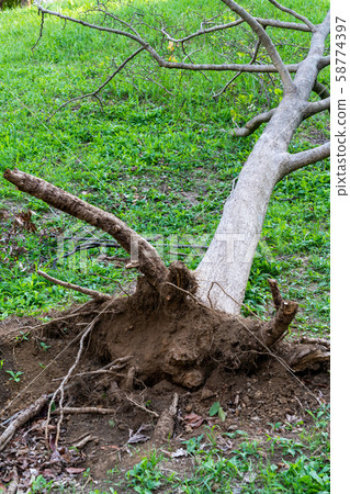 Typhoon scratch Typhoon scratch 58774397