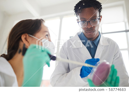 Two Young Scientists Working in Laboratory Two Young Scientists Working in Laboratory 58774683