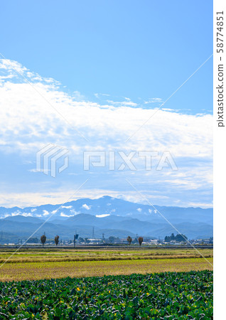 Distant view of Kaga Plain and Reiho Hakusan / Broccoli field Distant view of Kaga Plain and Reiho Hakusan / Broccoli field 58774851