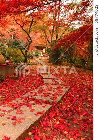 秋葉在京都 58774928