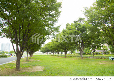 防災體驗學習設施東京S吶地區 58774996