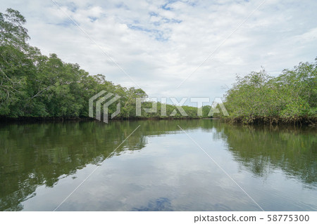 Corcovado National Park 58775300