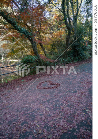 Heart fallen leaves_Iwayado Heart fallen leaves_Iwayado 58776016