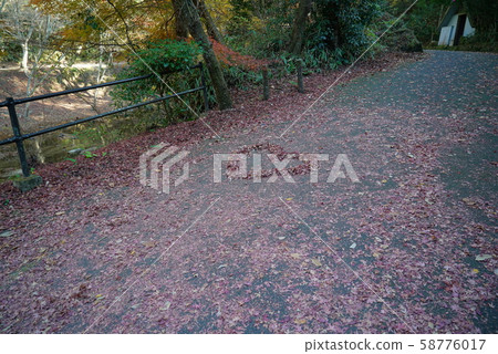 Heart fallen leaves_Iwayado Heart fallen leaves_Iwayado 58776017
