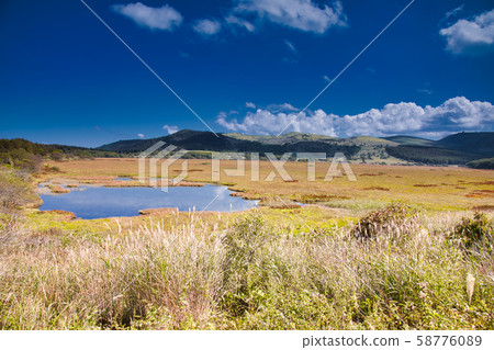 Yashima Mogara 58776089