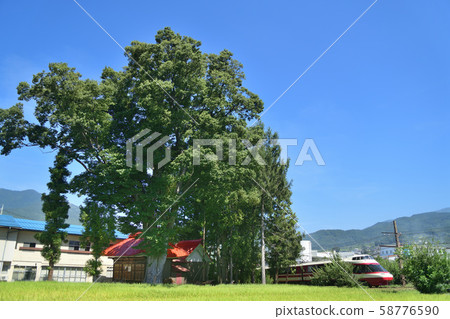 Naval Forest and Nagano Electric Railway Limited Express Yukemuri Naval Forest and Nagano Electric Railway Limited Express Yukemuri 58776590