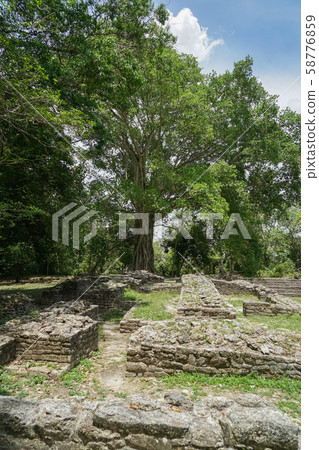 Lamanai ruins 58776859