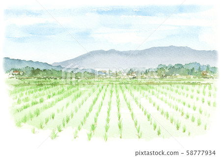 田園風光，稻田水彩 58777934
