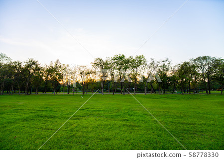 Sunset at city public park with green field and 58778330