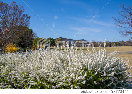 Yukiyanagi no Hana (Kawagoe Sports Park) Yukiyanagi no Hana (Kawagoe Sports Park) 58778445
