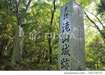 Takiyama Castle 58778757