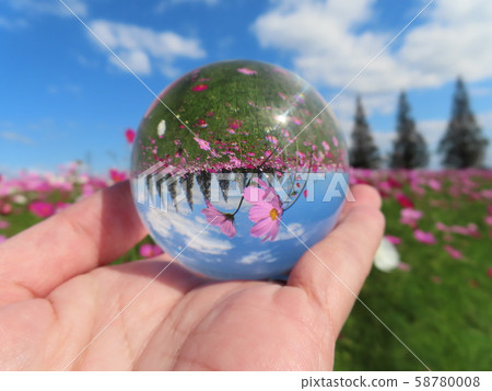 Cosmos and sphere Cosmos and sphere 58780008