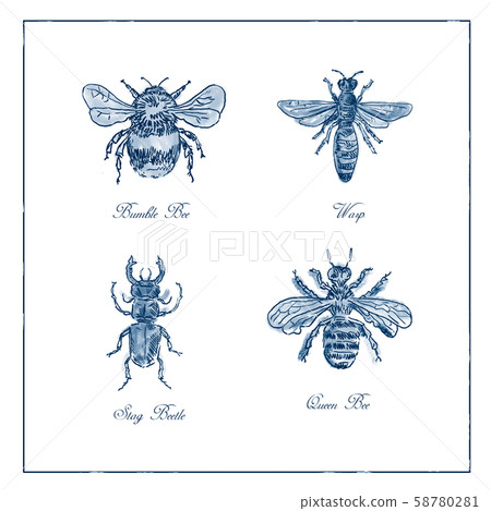 Queen Bee SVG| Boho Illustration Cut File