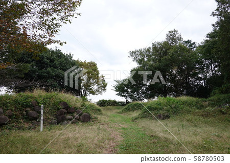 Daegu Castle Gate 58780503