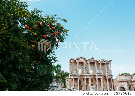 Celsus libraries against the blue sky and a tree Celsus libraries against the blue sky and a tree 58780615