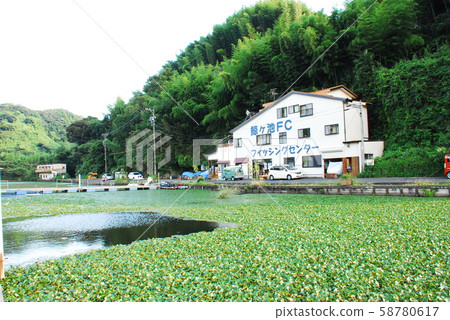 鯨魚池和行政大樓（靜岡市南田區） 58780617